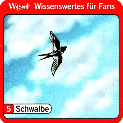hamburg hh-hh reemtsma west fans 5b (quad185-5 schwalbe)